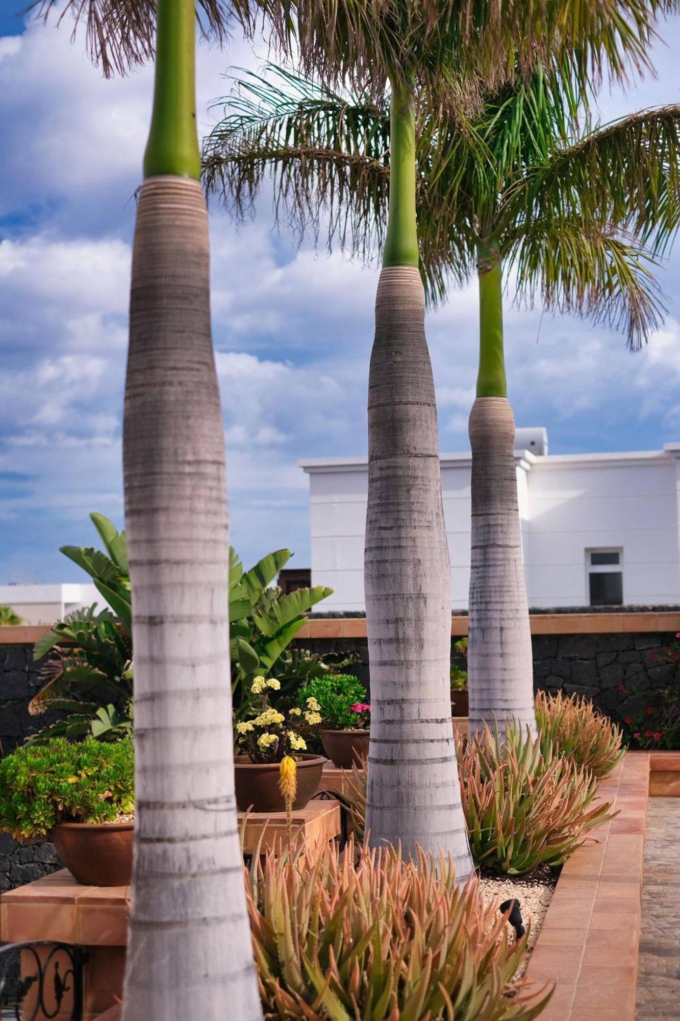 Casa Mia ξενώνας Puerto Calero Εξωτερικό φωτογραφία
